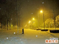 梦见大雪纷飞有什么预兆，做梦梦到在大雪纷飞中走路