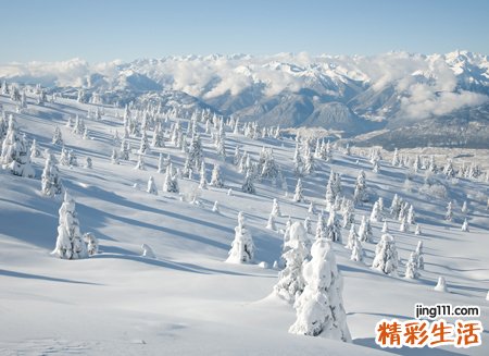 梦见大雪纷飞有什么预兆，做梦梦到在大雪纷飞中走路