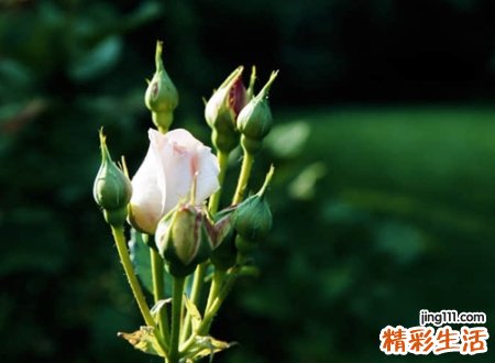 二字微信昵称，好听顺口的两个字微信网名