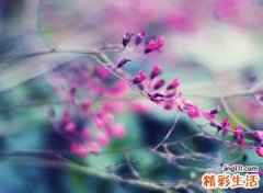 阳光简单点的微信名字，有深意正能量的网名