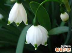 三个字独特成熟的网名，好听又难忘的微信名字