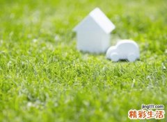 心静的昵称，内心平淡安静的网名