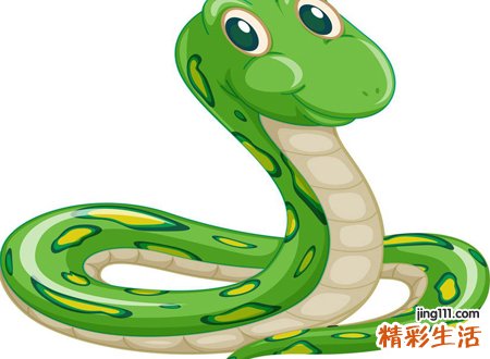 孕妇梦见大蟒蛇是什么意思，孕妇梦见蟒蛇是胎梦吗