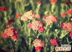 二字简约微信昵称，最吸引人的微信个性网名