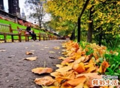 梦见死里逃生是什么意思，梦到死里逃生大难不死