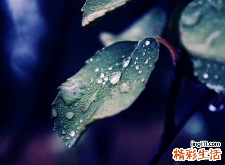 好听简单的网名，2021独一无二的微信名字