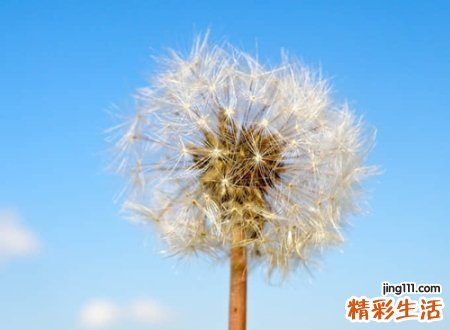 唯美有诗意的叠字小名，好听到爆的叠字洋气名字