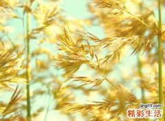 控制自己情绪的昵称，取个心态好励志的网名