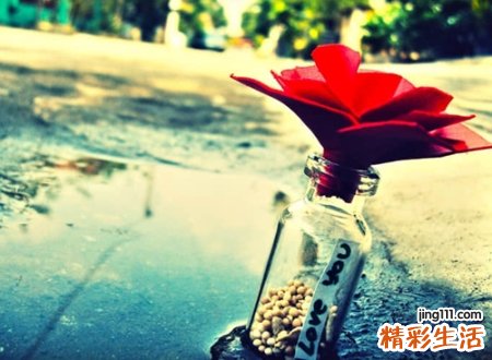 注重灵魂和内涵的文艺网名，唯美小清新的森系昵称