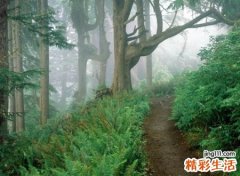 文艺有韵味复古的微信昵称，温柔干净的唯美网名