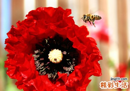 梦见亲人坠楼是什么意思，做梦梦到亲人不小心坠楼