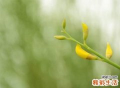 自由随性的qq名字，简单随意洒脱的抖音网名