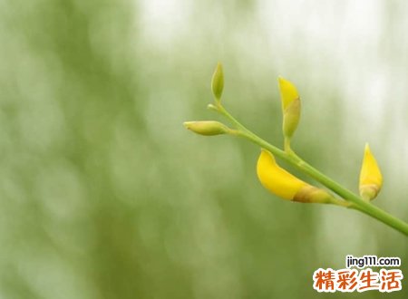 自由随性的qq名字，简单随意洒脱的抖音网名