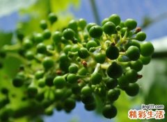 有格调的个性qq名字，有趣不俗气的经典网名