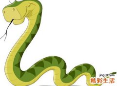 孕妇梦见被蛇追好不好，怀孕初期梦到被蛇追跑