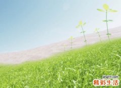 抖音很火的干净气质网名，很有个性的干净抖音名字