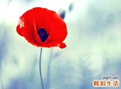 独一无二的霸气qq网名，好听的qq个性昵称