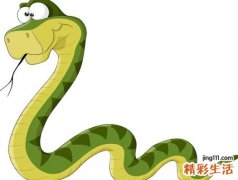 梦见打死蛇有什么预兆，女人梦见自己打死蛇