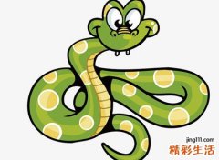 孕妇梦见打死蛇是胎梦吗，孕妇梦见打死一条大蛇