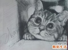 梦见被猫挠是什么意思，做梦梦到被猫抓伤了手背