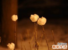 伤感心碎的微信名字，让人心碎的绝望网名