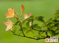 心里委屈压抑的网名，伤感走心的微信名字