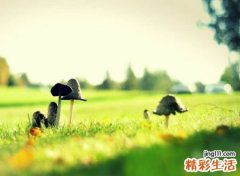 经典情殇伤感网名推荐，彻底绝望伤心的微信昵称