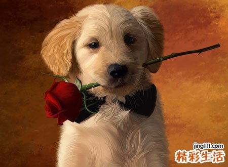 梦见打死狗有什么预兆，做梦梦到将咬我的狗打死