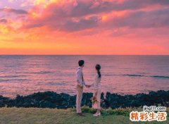 一九九五年属猪是什么命