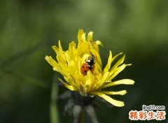 伤感让人看了心酸想哭的网名，伤感凉意浓浓的悲情昵称