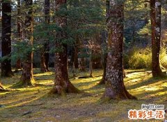 梦见路很难走有什么预兆，做梦梦到路很难走但过去了