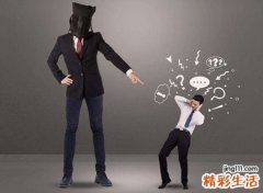 1995年属猪的三大坎