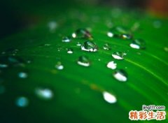 积极乐观向上的网名，阳光正能量的微信心语昵称