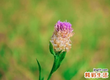 想念牵挂一个人的微信昵称，说到了你心窝的哲理网名