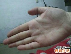 掌纹全是碎纹