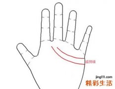 手掌有两条感情线