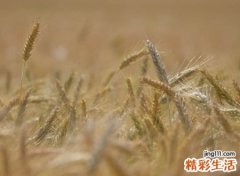 幽默有趣的qq个性网名，很皮很搞笑的逗比昵称