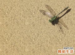 御少的小可爱超甜网名，俏皮可爱搞怪沙雕昵称