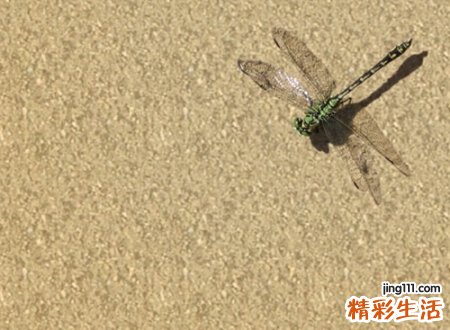 御少的小可爱超甜网名，俏皮可爱搞怪沙雕昵称