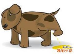 梦见小男孩撒尿是什么意思，做梦梦到小男孩撒尿撒得远