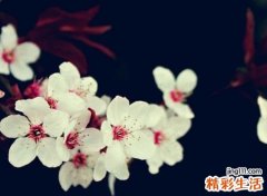 比较独特的欧美网名，稳重大气的英文个性昵称