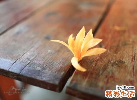 让人痛彻心扉的伤感昵称，我的心好累的微信网名