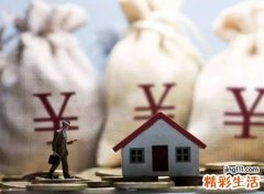2009年什么命