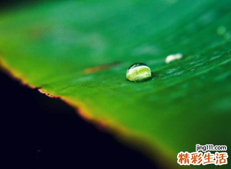 单身夜里太寂寞的伤感网名，适合单身狗的寂寞昵称