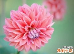 诗情画意意境很美的网名，简单又含深意的唯美昵称