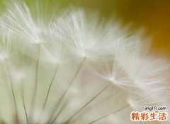 网络新潮爆火的抖音昵称，抖音上很火的个性网名