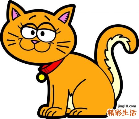 梦见小猫好吗，梦到橘色的猫说话