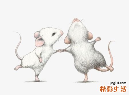 梦见小白鼠是什么意思，梦到一窝小白鼠