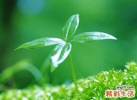 孤单寂寞的感慨网名，伤感心碎有些抑郁的微信昵称