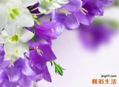 失望心凉的伤感网名，淡淡忧伤落泪的心酸昵称